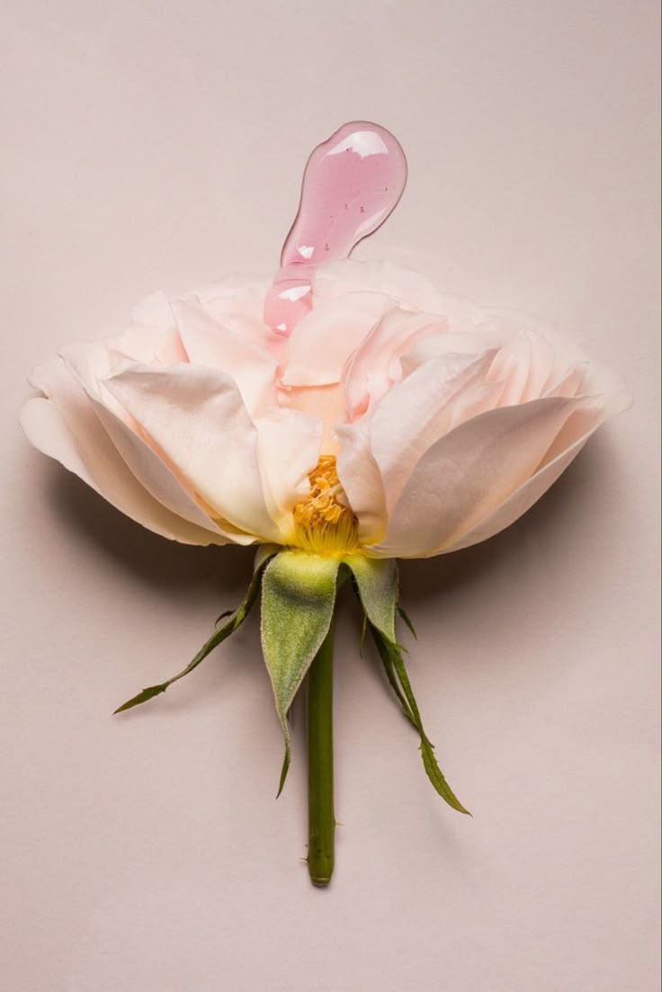 Flujo vaginal a lo largo del mes: ¿cuáles son los tipos y qué significan?