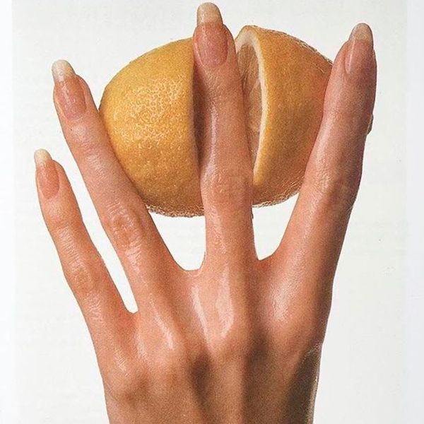 Copa vs Disco vs Calzones: ¿Cuál es la mejor opción para ti?